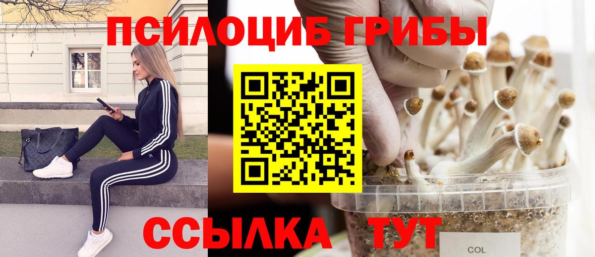 Галлюциногенные грибы MAGIC MUSHROOMS  Галлюциногенные грибы Magic Shrooms  Пенза  Вход с VPN 